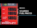 Why is fuel so expensive and when will prices go down again? | ABC News