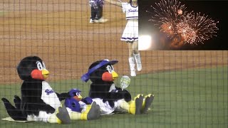 夏がきた！神宮花火を鑑賞するつば九郎・つばみ