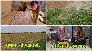 રાજમા ની પાકતણી કેવી આવી જોવ ||#mrdevatahir