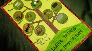 tlm, things we get from plants, tlm for primary school, uses of trees, trees activity