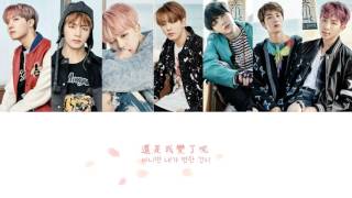 [韓繁中字] BTS (방탄소년단/防彈少年團) - 봄날 (Spring Day)