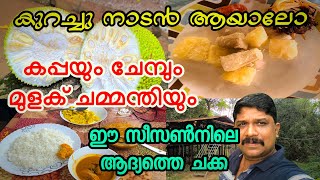 നമ്മുടെ ട്രീ ഹട്ട് കണ്ടാലോ എന്റെ ഒരു ദിവസം #dailyvlog #dayinmylife #food #naadanfood