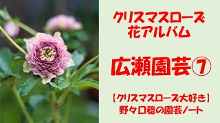 花アルバム 広瀬園芸⑦