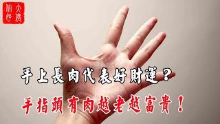 【手相】手上長肉代表好財運?手指頭有肉越老越富貴！