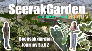 Boonsakgarden Journey EP02 SeerakGarden ฟาร์มต้นไม้สิงห์บุรี ไม้สวยราคาสบายกระเป๋า #ไม้ใบ #ไม้สะสม