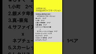 12/28★Instagramライブオークション★出品のめだかのご案内！