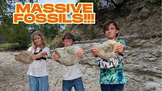 SECRET Location With MASSIVE Ammonites!! #fossilhunting