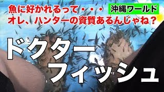 🐡【沖縄ワールド】ドクターフィッシュ🐡魚に好かれるってオレ、ハンターの資質あるんじゃね⁉️www