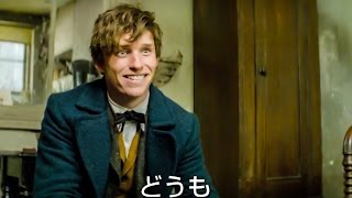 宮野真守が主人公！『ファンタスティック・ビーストと魔法使いの旅』日本語吹き替え版特別映像