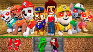 JJ and Mikey HIDE from SCARY PAW PATROL EXE at Night in Minecraft - Maizen ?!