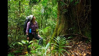 Mackay Hinterland Great Walk