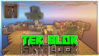 TEK BLOK SKYBLOCK!!! | Bölüm 1