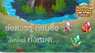 ข้อควรระวัง หากจะลงทุนซื้อ Jewel มาใช้งาน! : Morning Moon Village