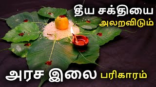 விநாயகரின் அம்சம் கொண்ட அரச இலை பரிகாரம்| பரிகாரசுரங்கம்