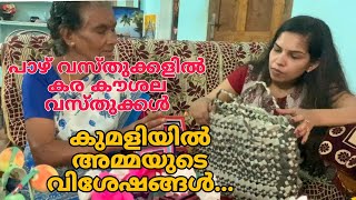 ഈ വീട്ടിൽ ഒന്നും പഴല്ല |പാഴ് വസ്തുക്കളിൽ കരകൗശല വസ്തുക്കൾ തീർക്കുന്ന ലീല അമ്മയുടെ വിശേഷങ്ങൾ|