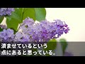 【スカッとする話】毎日、夫のお弁当を作る私「はい、今日のお弁当」夫「いつもありがとう！」だが、夫は弁当を捨てていた…衝撃の光景を目にして私は【修羅場】