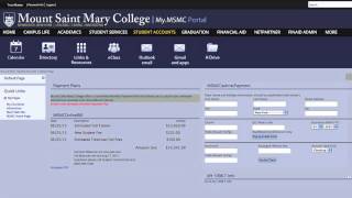 How to view your student account bill online