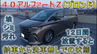 ★プレシャスレオブロンドの意外な特徴！★40アルファードの専用色は凄いかも！(ALPHARD VELLFIRE)