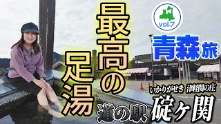 【道の駅いかりがせきで車中泊】夜ごはんが探しが大ピンチ！夫婦二人とわんずでゆく青森旅～本場青森のアップルパイを食べくらべ！情緒あふれる道の駅で最高の足湯を発見！