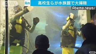 「正月準備も万全」高校生ダイバーが水族館で大掃除(19/12/27)