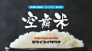 MIRAIこいわうち2022　空舞米【新潟県岩船産コシヒカリ・新之助】