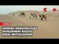 Internet Infrastructure Development Boosts Rural Revitalization in China