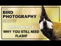 Z9 | 800mm | New Cameras | Photo NEWS & Why You still NEED Flash! The Bird Photography Show