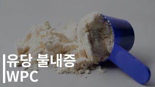 꼭 비싼 WPI를 먹어야 될까?