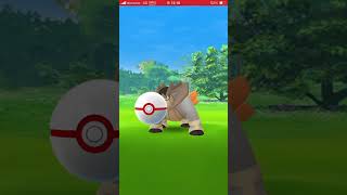 ゲットの瞬間　パート1928 ポケモンgo テラキオン　#ポケモンgo