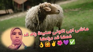 ماشى اجى اكونى صليحة راه قد فمها قد دراعها 👌🙆✌️🌺💜✅