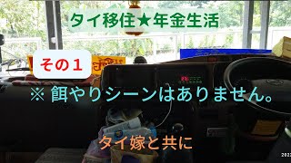 【タイ移住★年金生活】2022年11月15,16日  普段の日常と少し違った様子を短い動画にしました。