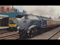 60007 Sir Nigel Gresley storms Doncaster with The Christmas White Rose! + 44871 & 45596 | 16/11/24