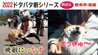 2022狂犬病予防注射会場のドタバタ劇・其の５ 射水市後編