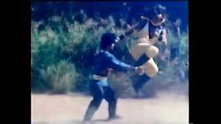 Shaolin against Lama fight pt 4