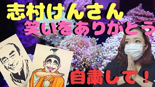 志村けんさんありがとう😭❗️最近の海水水槽の変化🐠my marine aquarium MOAMOAちゃんねる