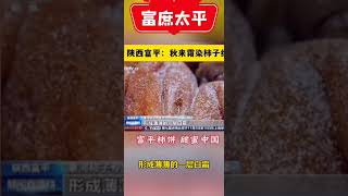 怀德行远，陕西富平富平柿饼 优质农产品 舌尖美味 抖音助农 助力三农