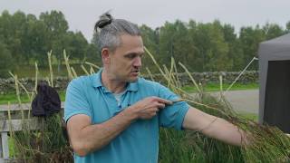 Thatching with Heather: Traditional Skills in Scotland