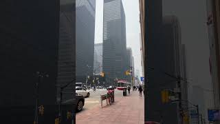 #toronto #downtowntoronto #vlog #newyork #torontodowntown #travel #torontonians #torontocity