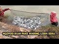 CARA PANEN UDANG LIAR DI ALAM.#nyeserikan #udang#nyariudang