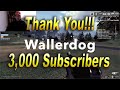 3K Subscriber Thank You Video | Wallerdog Gaming Channel