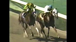 1999 Swaps Stakes