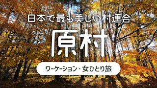 【女ひとり旅】日本で最も美しい村連合の長野県 原村で1週間ワーケーション・移住体験 2020.11