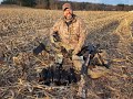 Crow Hunting with motion decoys in the heavy winds works!!!