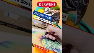 Derwent Chromaflow Kuru Boya Kalemleri