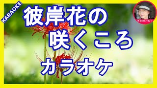 彼岸花の咲く頃　中澤卓也　 カラオケ 　　With Romaji KARAOKE