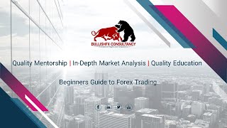 Beginners Guide to Forex Trading - Disclaimer.