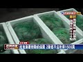 還沒檢驗偷跑賣！15噸戴奧辛大閘蟹竄全台－民視新聞