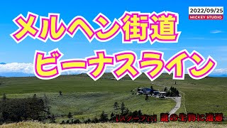 【メルヘン街道＆ビーナスライン】謎の生物と遭遇！ 2022/09/25