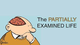 Partially Examined Life #385: Guest Graham Harman on Object vs. Continuum (Part One)