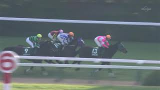 京都 芝1600M 京都牝馬S GⅢ 2015年01月24日